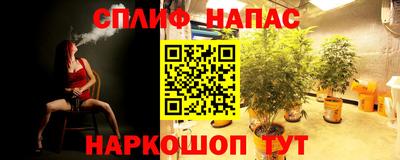 бошки Донецк