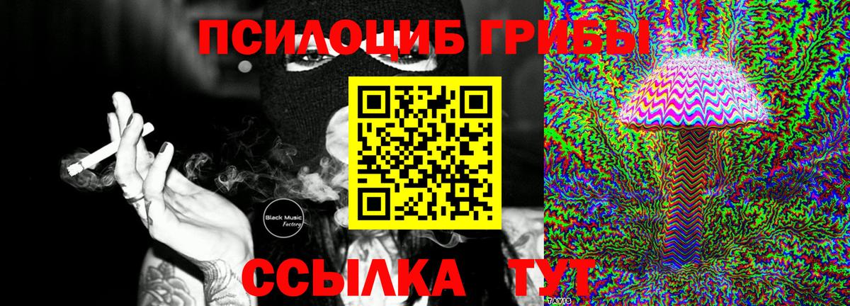 Ликино-Дулёво  Псилоцибиновые грибы мицелий  Вход с VPN  Галлюциногенные грибы Psilocybe 