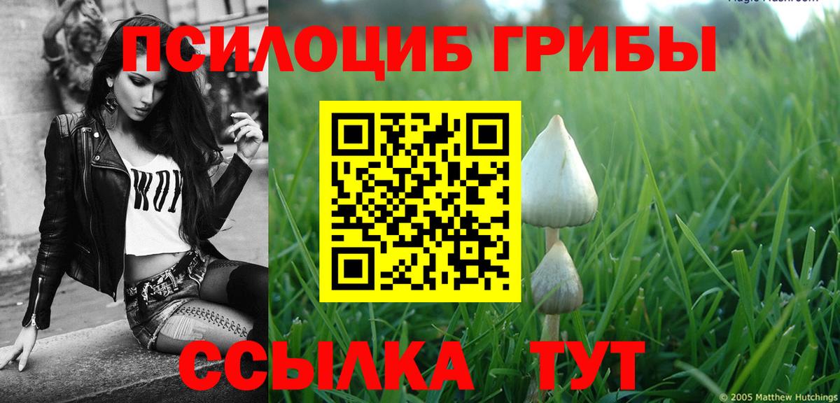 Псилоцибиновые грибы Magic Shrooms Ликино-Дулёво